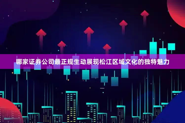 哪家证券公司最正规生动展现松江区域文化的独特魅力