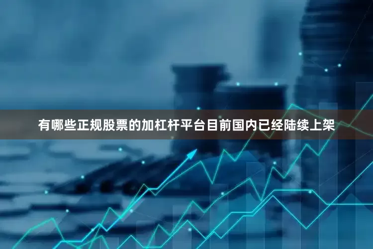 有哪些正规股票的加杠杆平台目前国内已经陆续上架