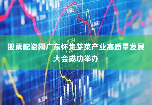 股票配资网广东怀集蔬菜产业高质量发展大会成功举办