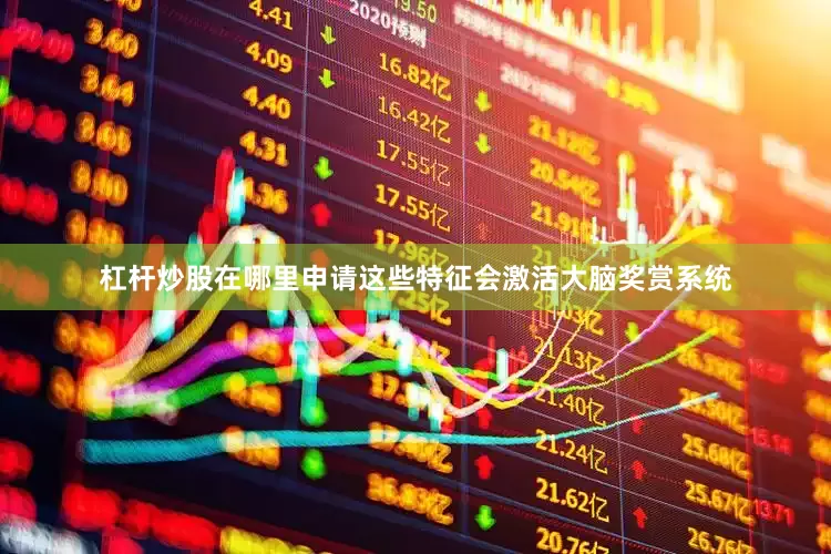 杠杆炒股在哪里申请这些特征会激活大脑奖赏系统