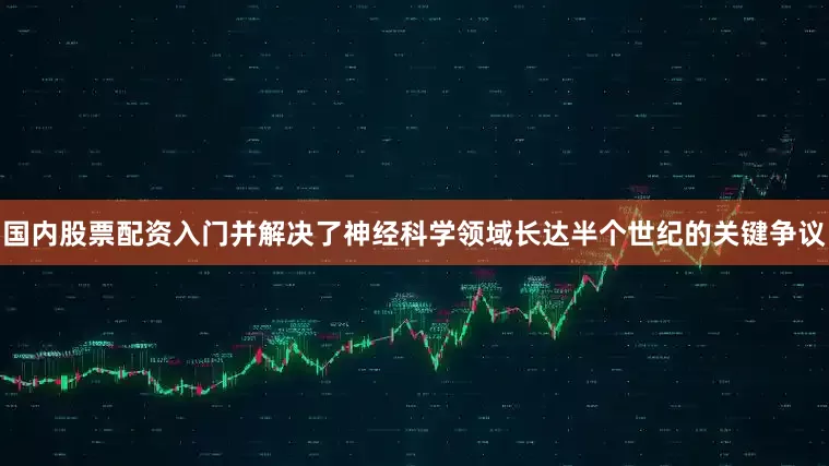 国内股票配资入门并解决了神经科学领域长达半个世纪的关键争议