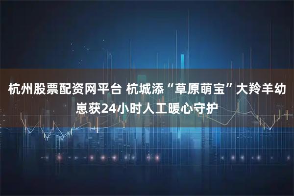 杭州股票配资网平台 杭城添“草原萌宝”大羚羊幼崽获24小时人工暖心守护